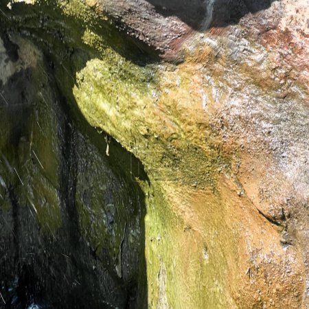 Téléchargez les photos : Algues vertes sur les rochers
. - en image libre de droit