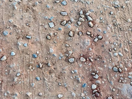 Foto de Una fotografía de un suelo de tierra con rocas y grava. - Imagen libre de derechos