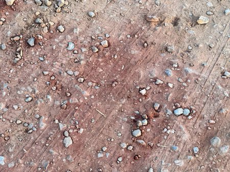 Foto de Una fotografía de un suelo de tierra con rocas y grava. - Imagen libre de derechos