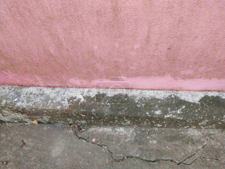 Téléchargez les photos : Une photographie d'un chat posé sur le sol à côté d'un mur rose. - en image libre de droit