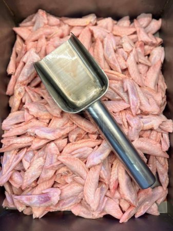 a photography of a scoop of meat in a container with a scoop of meat.