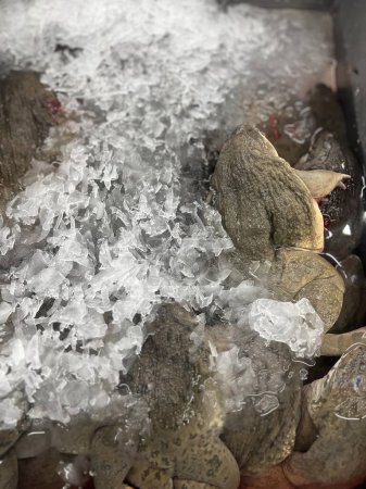 a photography of a pile of rocks and ice in a container.