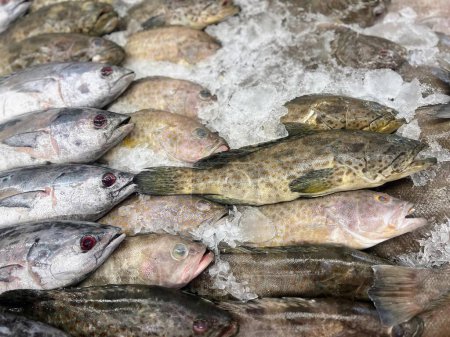 eine Fotografie von einem Haufen Fische, die auf Eis sitzen.