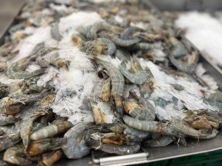 une photographie d'un plateau de crevettes sur glace avec beaucoup de crevettes.