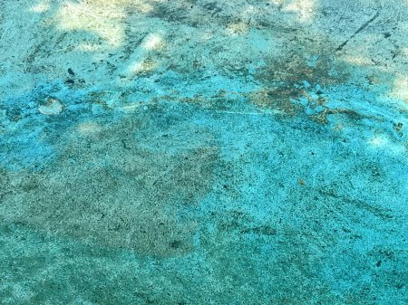 a photography of a blue and green concrete surface with a small bird.