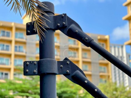 Photo for A photography of a street sign with a palm tree in the background. - Royalty Free Image