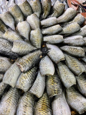 a photography of a pile of fish sitting on top of a table.