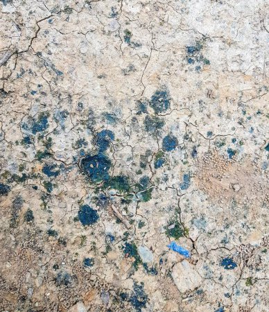 a photography of a blue and white object on a dirty surface.