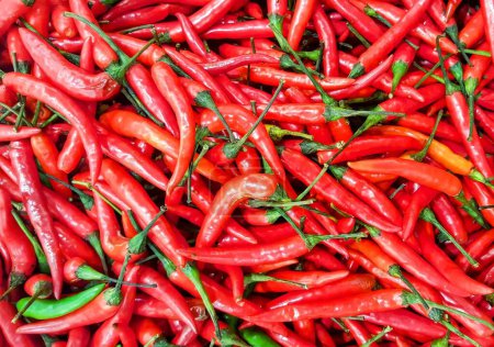 a photography of a pile of red hot peppers with green stems.
