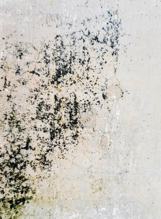 eine Fotografie einer schmutzigen Wand mit einem Schwarz-Weiß-Muster.