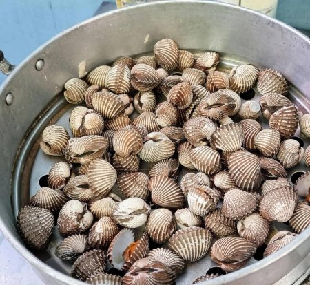 a photography of a bucket full of clams sitting on a table.