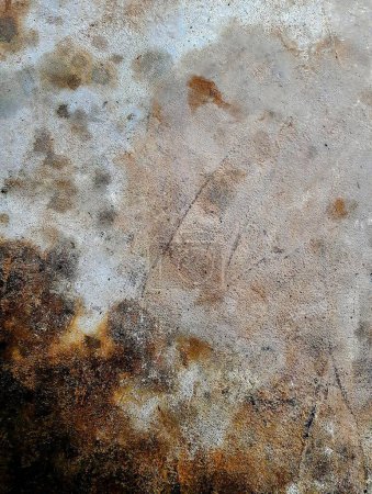 Foto de Una fotografía de una pared sucia con un pajarito en ella. - Imagen libre de derechos