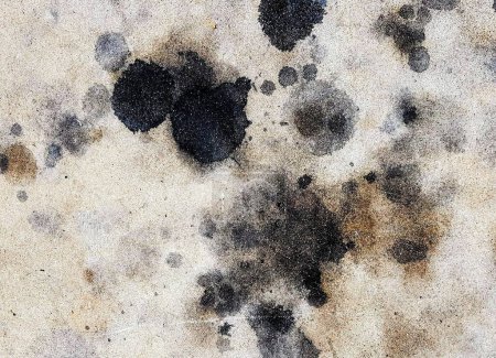 a photography of a dirty wall with black spots and stains.