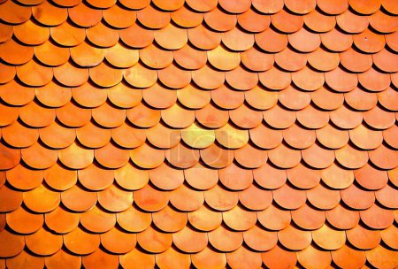 une photographie d'un gros plan d'un toit avec beaucoup de cercles.