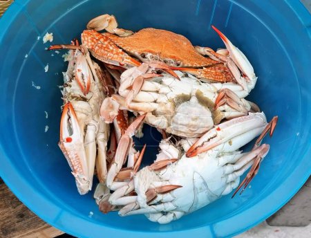 Photo for A photography of a blue bowl filled with crab legs and claws. - Royalty Free Image