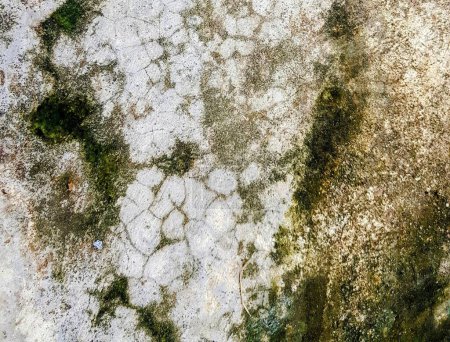 una fotografía de una superficie de hormigón sucio con una sustancia verde y blanca.