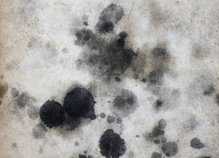a photography of a dirty wall with black spots and a white background.