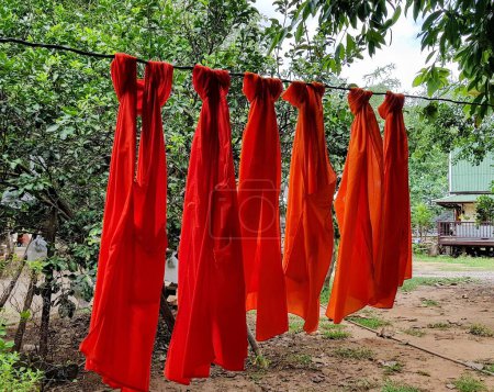 Téléchargez les photos : Une photographie d'un groupe de chemises rouges accrochées à une ligne de vêtements. - en image libre de droit