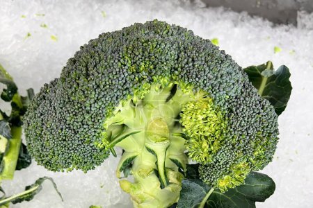 a photography of a broccoli head is shown in the snow.