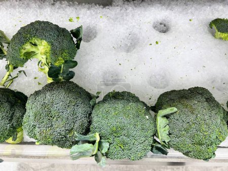 a photography of a bunch of broccoli sitting on top of a pile of snow.