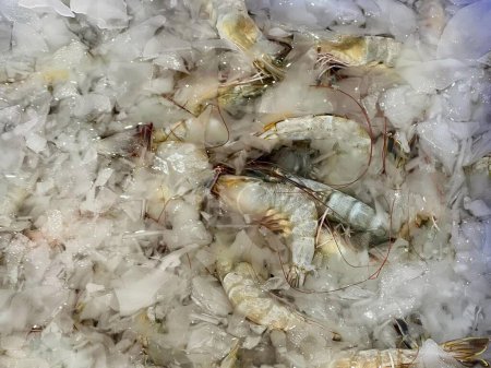 Téléchargez les photos : Une photographie d'un groupe de crevettes dans la glace sur une table. - en image libre de droit