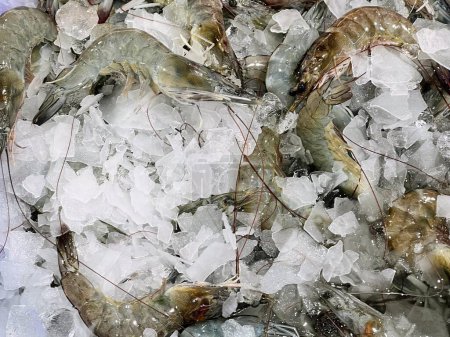 une photographie d'un tas de crevettes sur glace avec un fond bleu.
