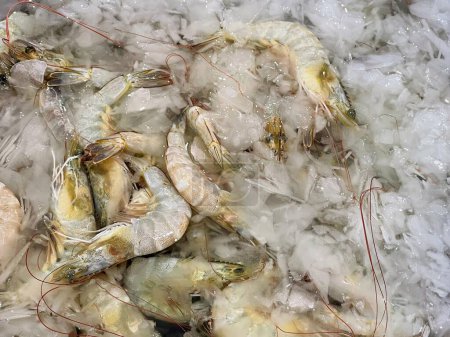 a photography of a bunch of shrimp sitting on top of ice.