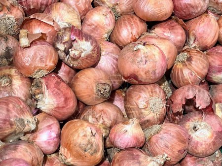 a photography of a pile of onions with a lot of them.