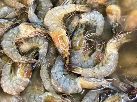 a photography of a bunch of shrimp in a pot of water.