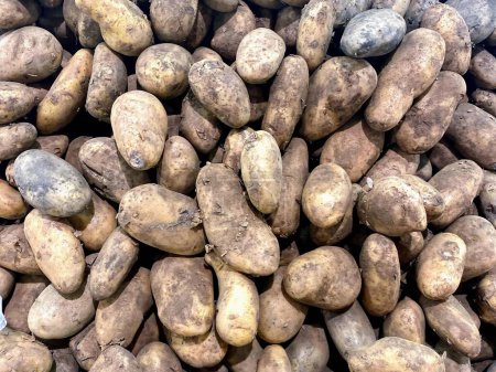 eine Fotografie eines Haufens Kartoffeln, die übereinander sitzen.