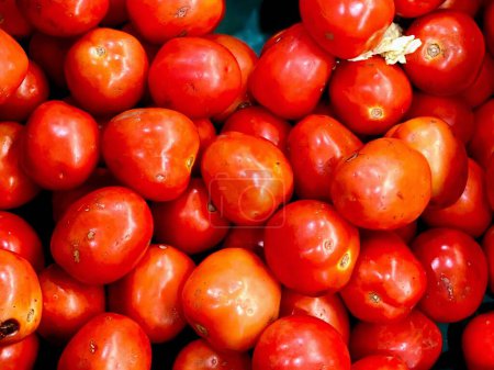 a photography of a pile of tomatoes with a green background.