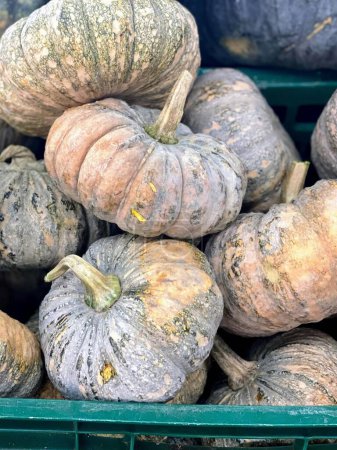 a photography of a pile of pumpkins sitting on top of a green crate.