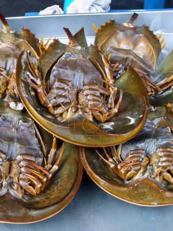 une photographie d'un groupe de crabes assis sur une table.