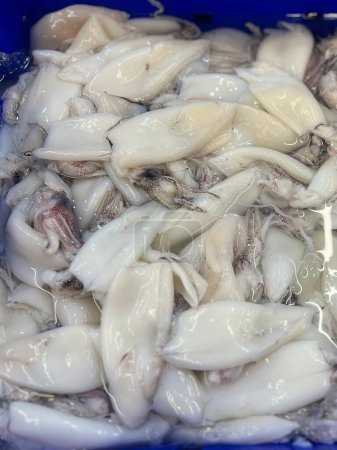 a photography of a blue container filled with squids and clams.