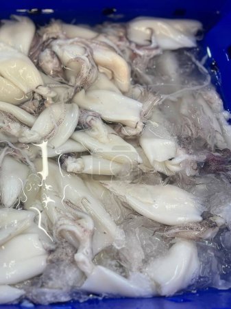 a photography of a blue container filled with squids and clams.