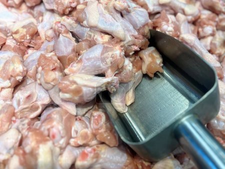 eine Fotografie eines Hühnchens, das auf einem Haufen Fleisch sitzt.