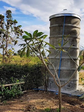 eine Fotografie eines Baumes, der in einem Garten mit Wassertank wächst.