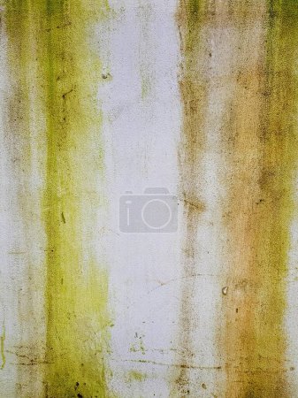 a photography of a dirty wall with a green and yellow paint.