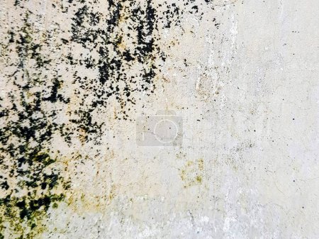 Photo for A photography of a dirty wall with a black and white paint. - Royalty Free Image