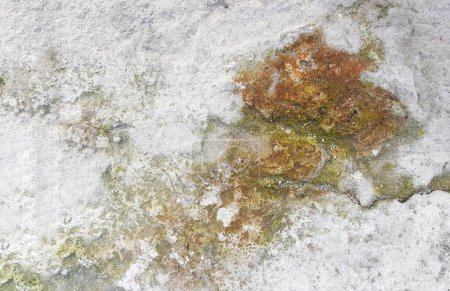 Foto de Una fotografía de un primer plano de una roca con musgo y tierra. - Imagen libre de derechos