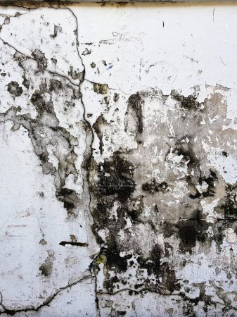 a photography of a dirty wall with a white paint and some black mold.