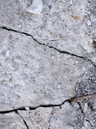 Foto de Una fotografía de un pajarito sentado en una roca en la tierra. - Imagen libre de derechos