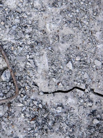 Foto de Una fotografía de un lagarto tendido en el suelo con una grieta en el suelo. - Imagen libre de derechos