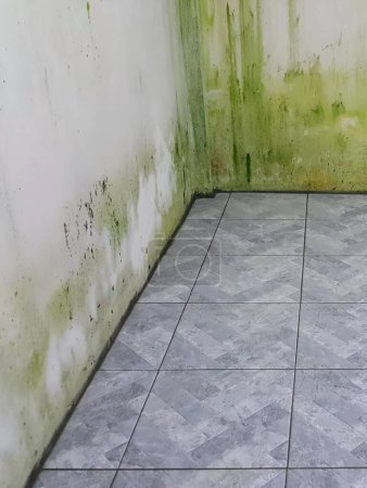 eine Fotografie eines schmutzigen Badezimmers mit Toilette und grüner Wand.