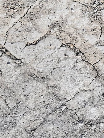 a photography of a close up of a concrete surface with cracks.