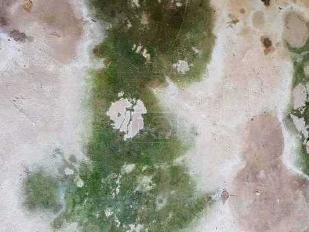 a photography of a dirty wall with green and white paint.