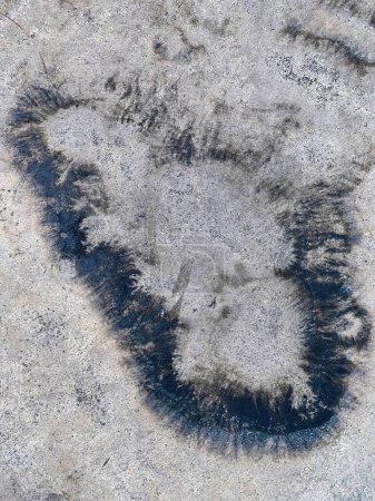 una fotografía de una huella en forma de corazón en la nieve.