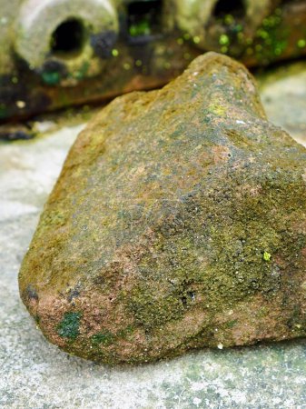 eine Fotografie eines Felsens, auf dem Moos wächst.