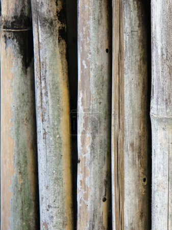 Photo for A photography of a bunch of bamboo poles with a black background. - Royalty Free Image