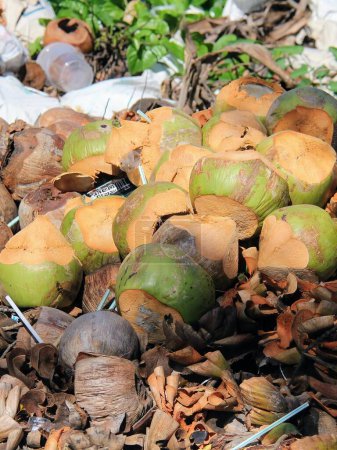 una fotografía de una pila de cocos en el suelo.